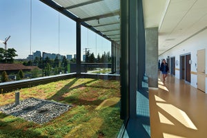 Seattle Children&#039;s Bellevue Clinic&#039;s green roof pays dividends