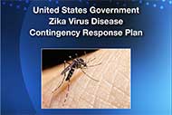 U.S. develops Zika virus contingency response plan