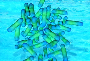 CDC report on strategies to prevent Legionella