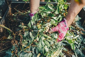 Illinois medical center composts tons of food scraps