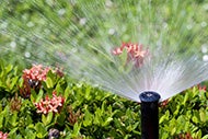 Drought forces California hospitals to reduce irrigation
